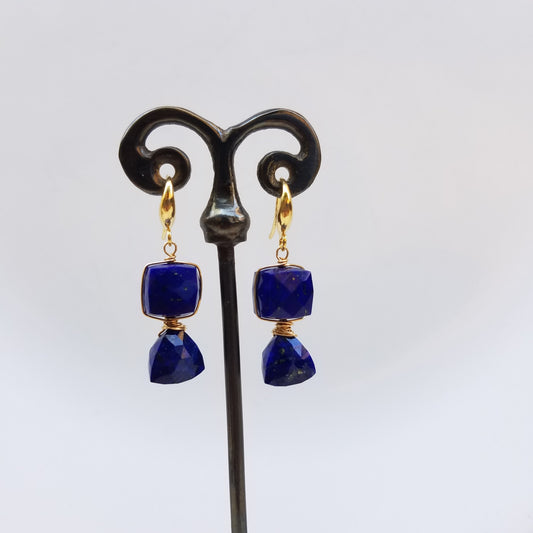 The shape of Lapiz earrings