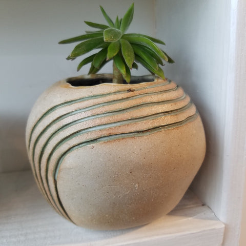 Handmade pottery with a plant