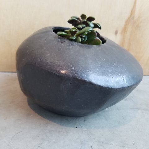 Handmade pot with a succulent