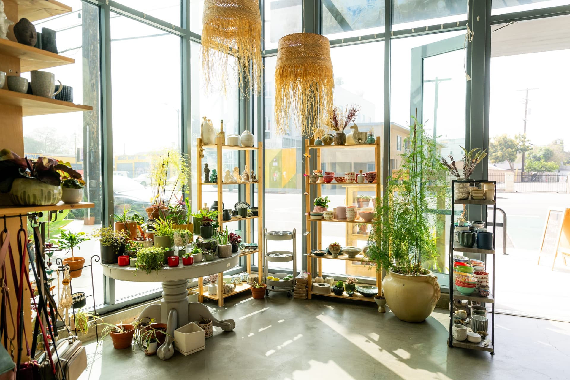 Pottery and houseplants in the sunlit Antiqua studio